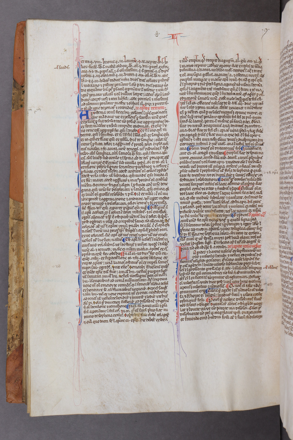 Folio 123 verso